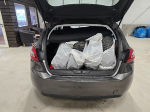 Peugeot 308 1.2 VTi 82 Access Euro 6 *8300 mil *Vinterhjul - 2016 - Bild 19